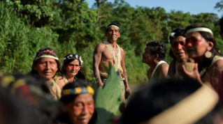 Pueblos originarios. Derechos y territorios siguen irrespetados